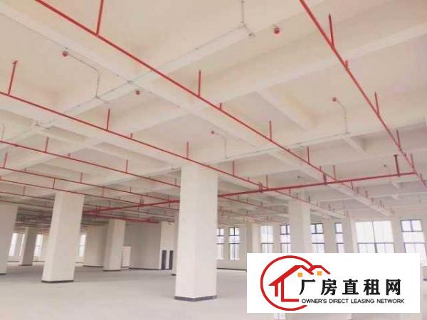  厚街二楼以上6米层高全新厂房低价出租，交通方便