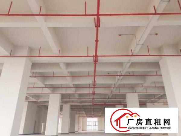  厚街二楼以上6米层高全新厂房低价出租，交通方便