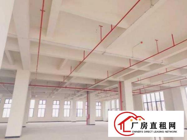  厚街二楼以上6米层高全新厂房低价出租，交通方便