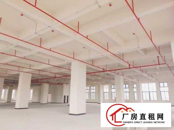  厚街二楼以上6米层高全新厂房低价出租，交通方便