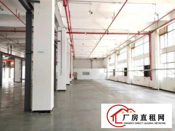 厚街陈屋社区实际面积自带行车厂房2500平出租