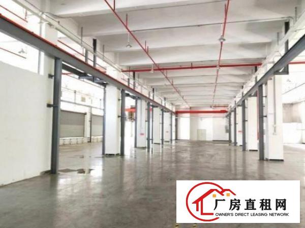  厚街陈屋社区实际面积自带行车厂房2500平出租