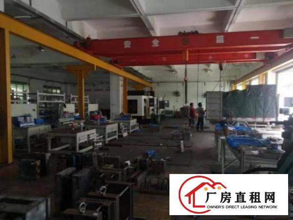  厚街环冈社区新出一楼高6米厂房1500招租