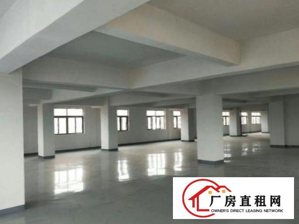  厚街湖景社区新出独栋厂房1000平方，可分租。