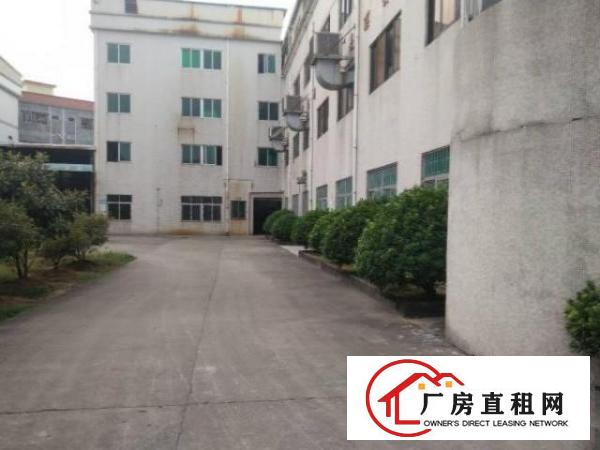  厚街宝塘社区厂房招租现成装修水电齐全500平