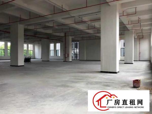  （出租）厚街原房东标准厂房离高速路近带装修租金补贴