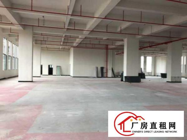 （出租）厚街原房东标准厂房离高速路近带装修租金补贴