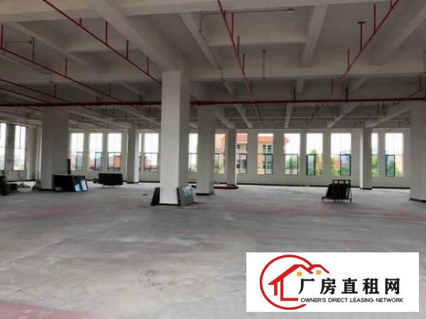  （出租）厚街原房东标准厂房离高速路近带装修租金补贴