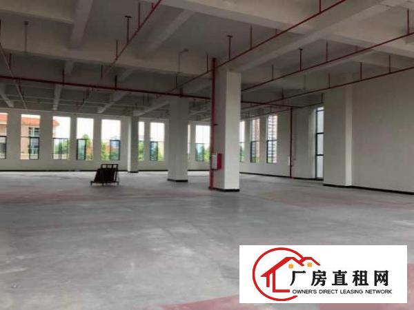  （出租）厚街原房东标准厂房离高速路近带装修租金补贴