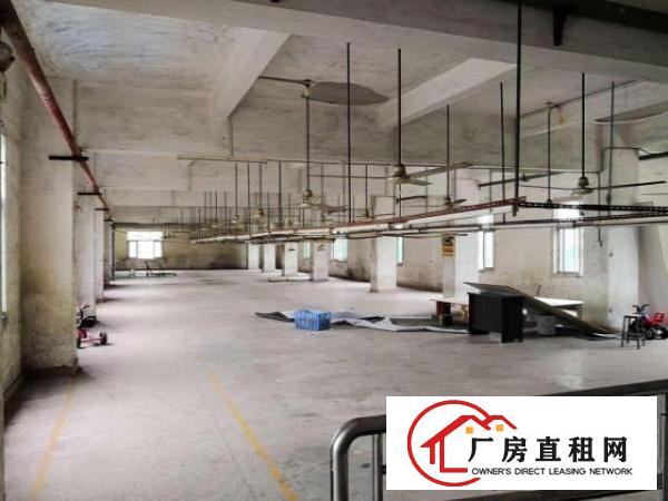  低价出租厚街桥头第三工业区二三楼厂房