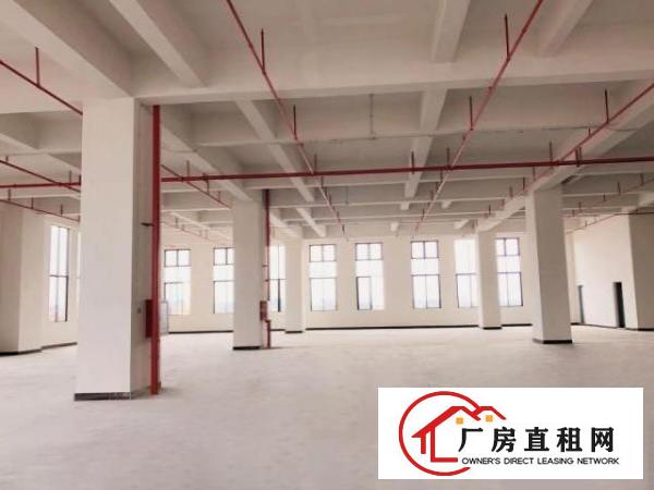  厚街鑫创动力产业园全新厂房出租（带消防喷淋）