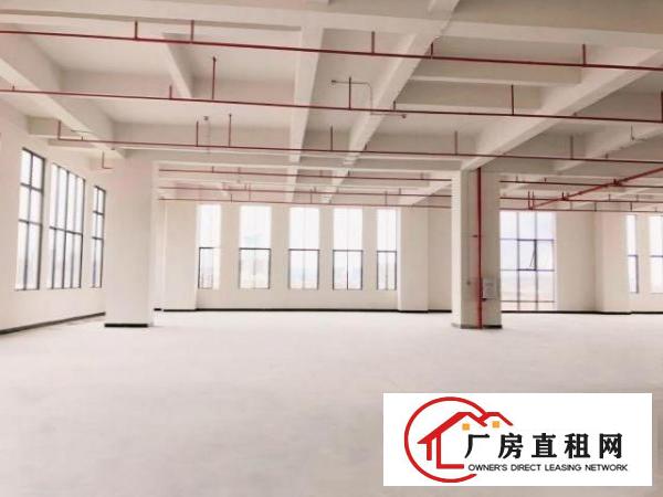 厚街鑫创动力产业园全新厂房出租（带消防喷淋）