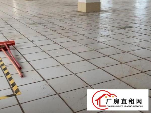  带豪华装修便宜出租噢