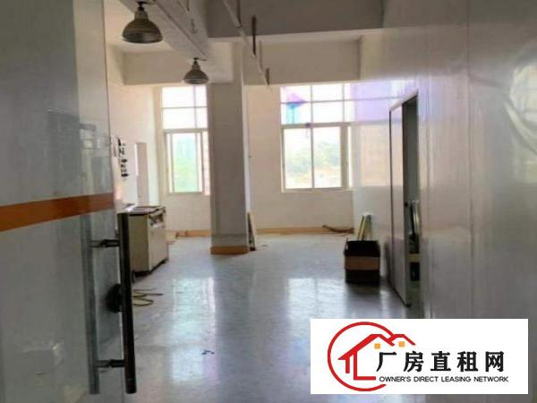  带豪华装修便宜出租噢