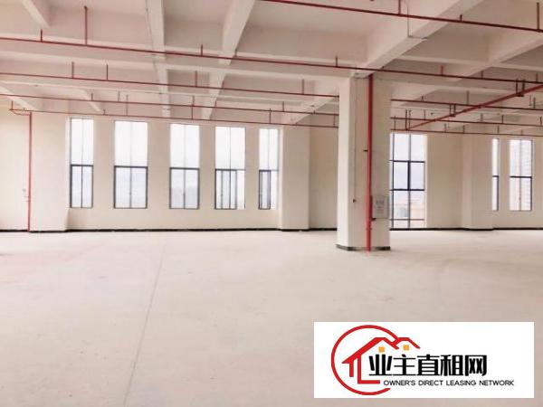  厚街体育公园旁全新高标准厂房出租带金刚沙地面