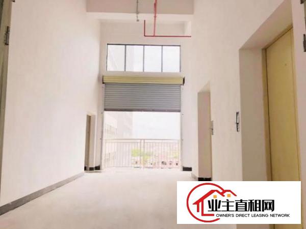  厚街体育公园旁全新高标准厂房出租带金刚沙地面