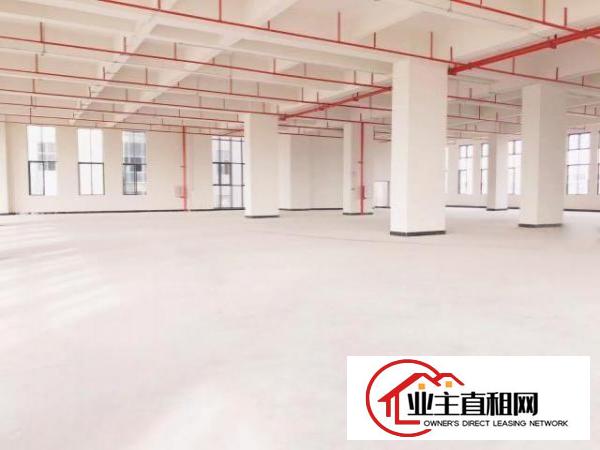  厚街体育公园旁全新高标准厂房出租带金刚沙地面
