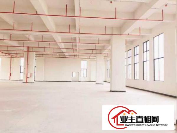  厚街体育公园旁全新高标准厂房出租带金刚沙地面