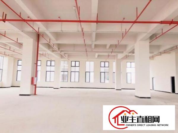  厚街体育公园旁全新高标准厂房出租带金刚沙地面