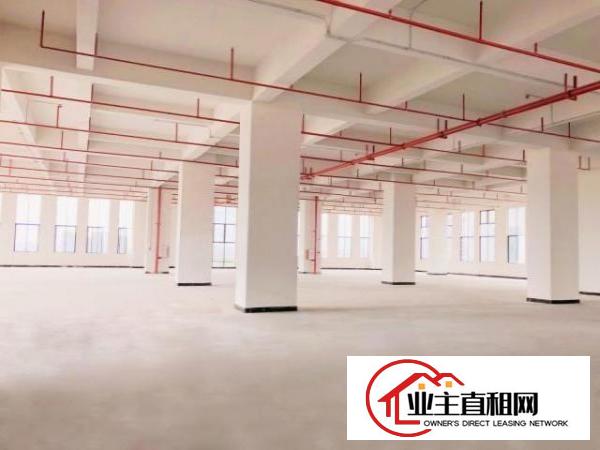  厚街体育公园旁全新高标准厂房出租带金刚沙地面