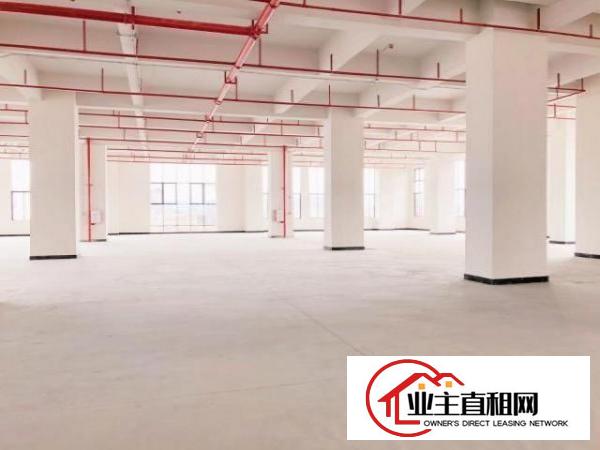  厚街体育公园旁全新高标准厂房出租带金刚沙地面