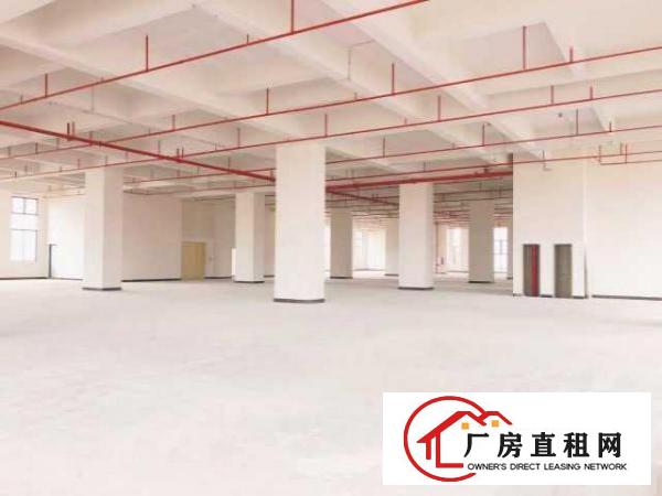  鑫创动力智能制造产业园火爆认筹，高速公路/地铁物业
