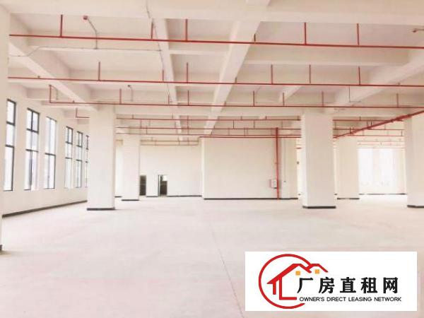 鑫创动力智能制造产业园火爆认筹，高速公路/地铁物业