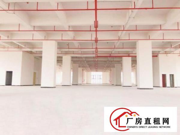  鑫创动力智能制造产业园火爆认筹，高速公路/地铁物业