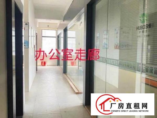  本厂房是全新厂房豪华装修，交通方便，易招工