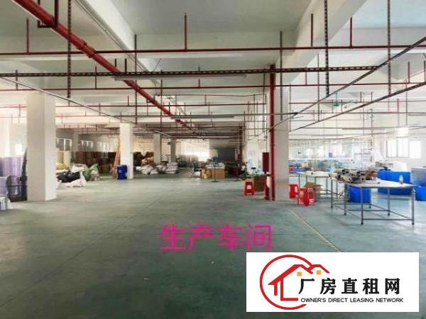  本厂房是全新厂房豪华装修，交通方便，易招工