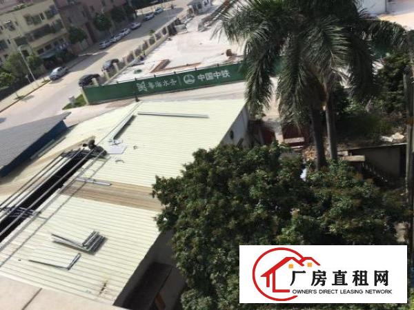  1300多平厂房出租