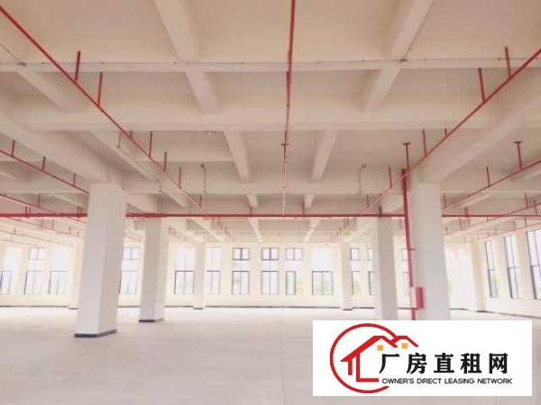  （出租）厚街高端产业园开发商直租交通便利好招工