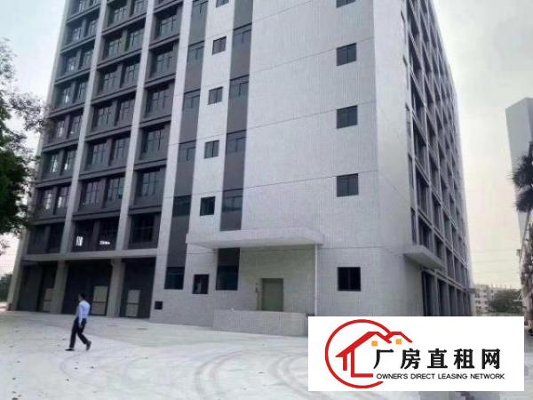  出租厚街镇康乐南单价13起有各种面积都有