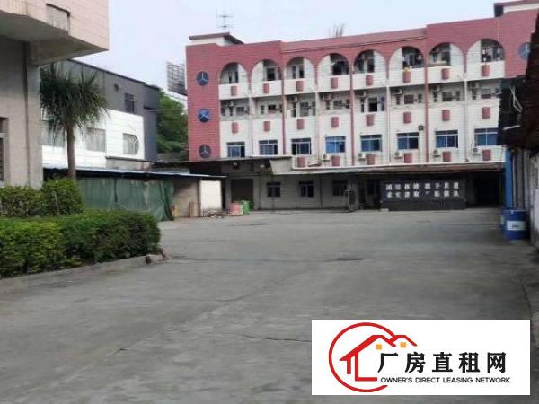  出租厚街镇康乐南单价13起有各种面积都有