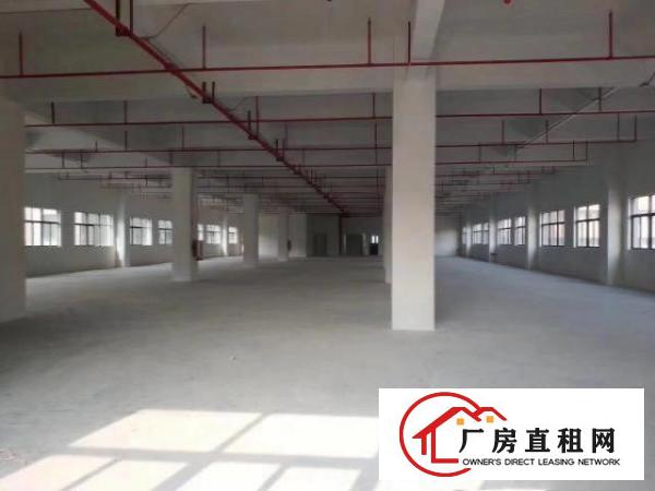  出租厚街镇康乐南有各种面积各种价格的厂房非常漂亮