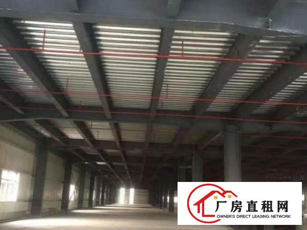  万江房东一楼厂房分租楼上厂房仓库装修水电齐全