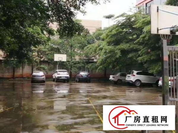  万江房东一楼厂房分租楼上厂房仓库装修水电齐全