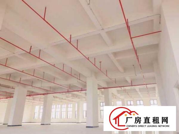  鑫创动力智能制造产业园火爆认筹，近地铁口物业