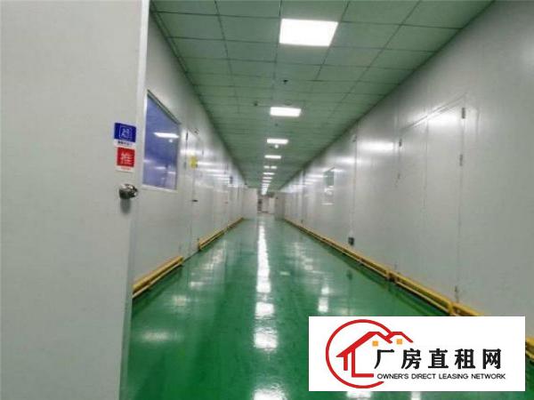  横岗中路标准无尘车间交通便利，全新厂房，大车方便1500平