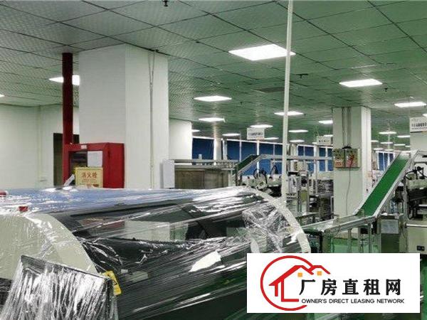  横岗中路标准无尘车间交通便利，全新厂房，大车方便1500平