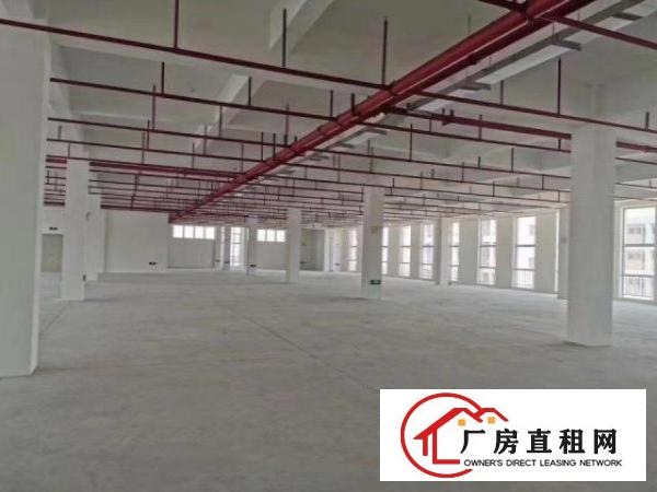  出租厚街镇三屯镇原物业直租全新消防喷淋