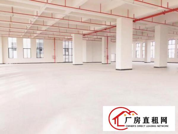  （出租）厚街鑫创动力智能产业园火爆开盘超长免租期