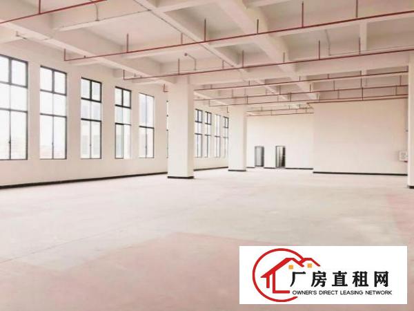  （出租）厚街鑫创动力智能产业园火爆开盘超长免租期