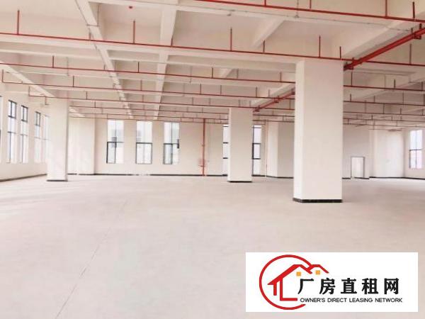  全新高端厂房出租适合高新科技企业孵化基地