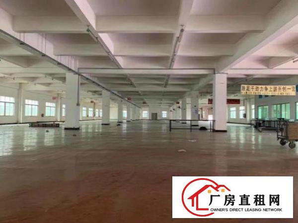  出租厚街镇的厂房真实图片真实价钱有各种各样的厂房