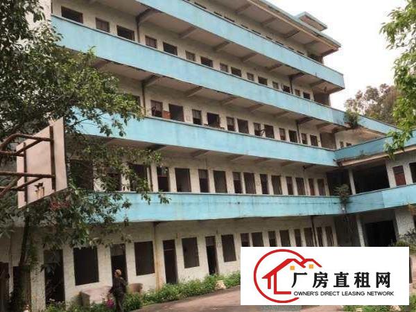  出租厚街镇康乐南厂房面积500起步到几万平各种各样的都有