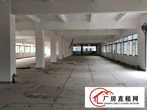  出租厚街镇康乐南厂房面积500起步到几万平各种各样的都有