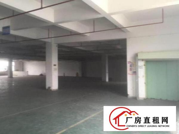  厚街南五社区新出原房东独院分租1楼1500