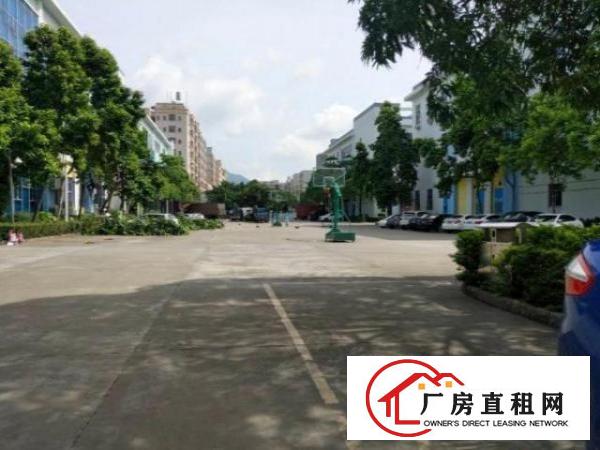  厚街三屯社区一楼高7米原房东厂房900平招租