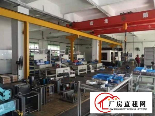  厚街环冈社区新出一楼高6米厂房1500招租